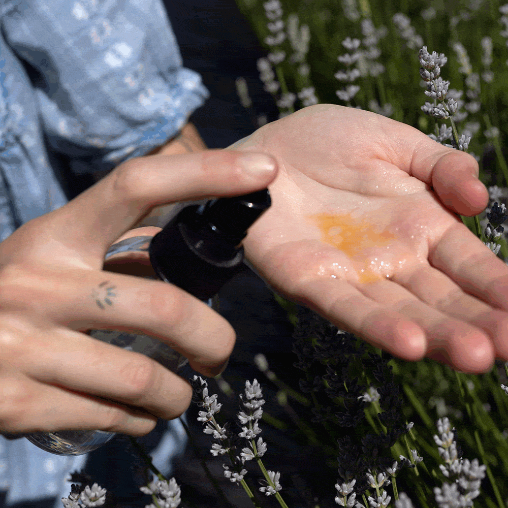 Hands pumping golden facial oil and clear hydrosol into palm above lavender plants