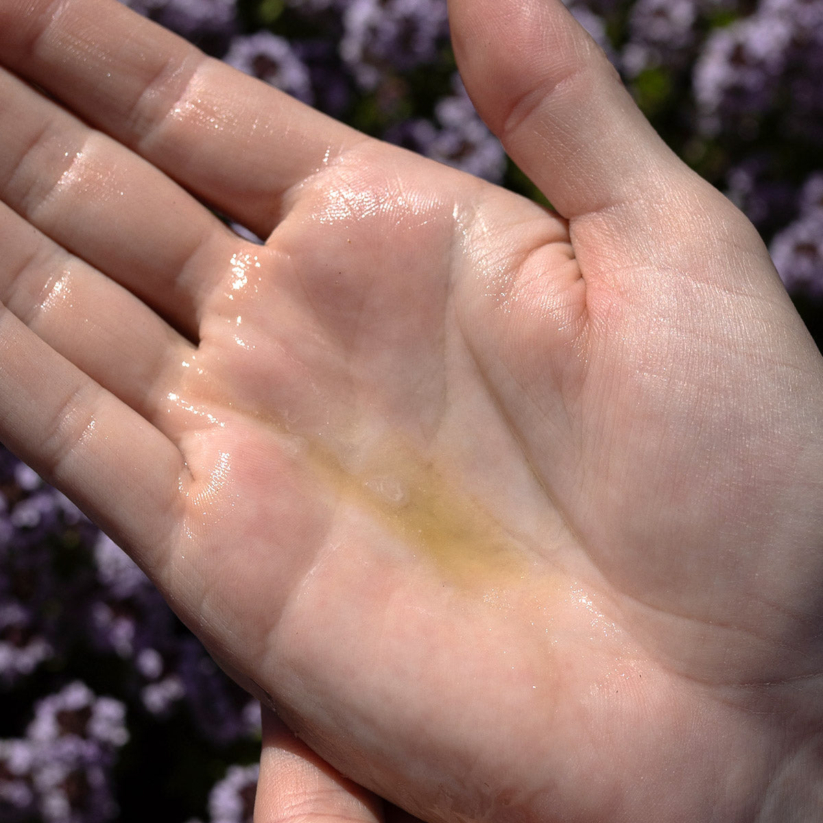 Hand holding purifying oil serum during a skincare ritual over lavender flowers