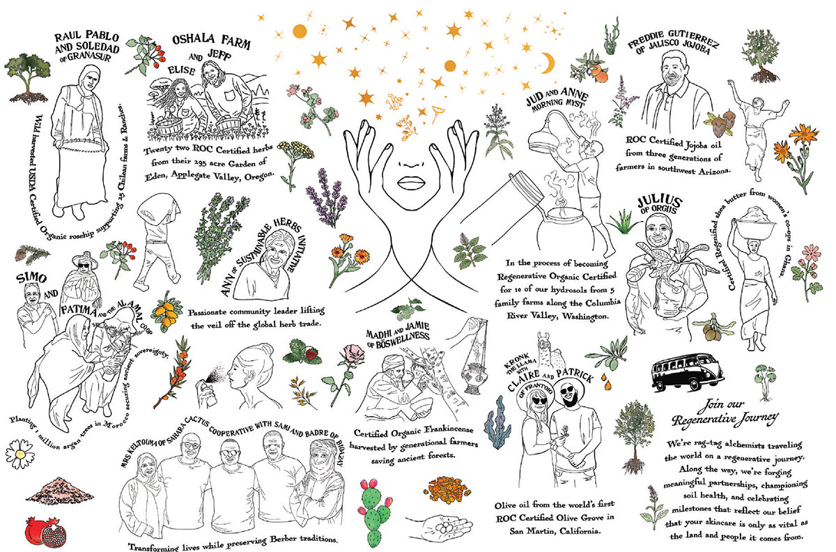 Illustrated collage showing evanhealy’s Regenerative Journey and global stewards with sketches of ROC-certified farms