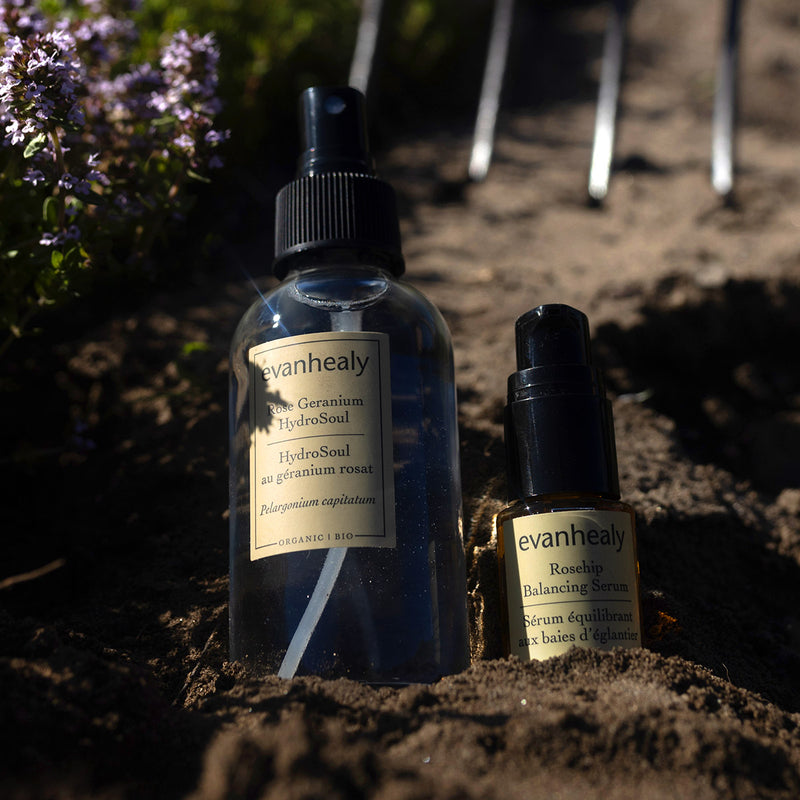 Front view of Balancing Duo showcasing Rose Geranium HydroSoul and Rosehip Balancing Serum in soil