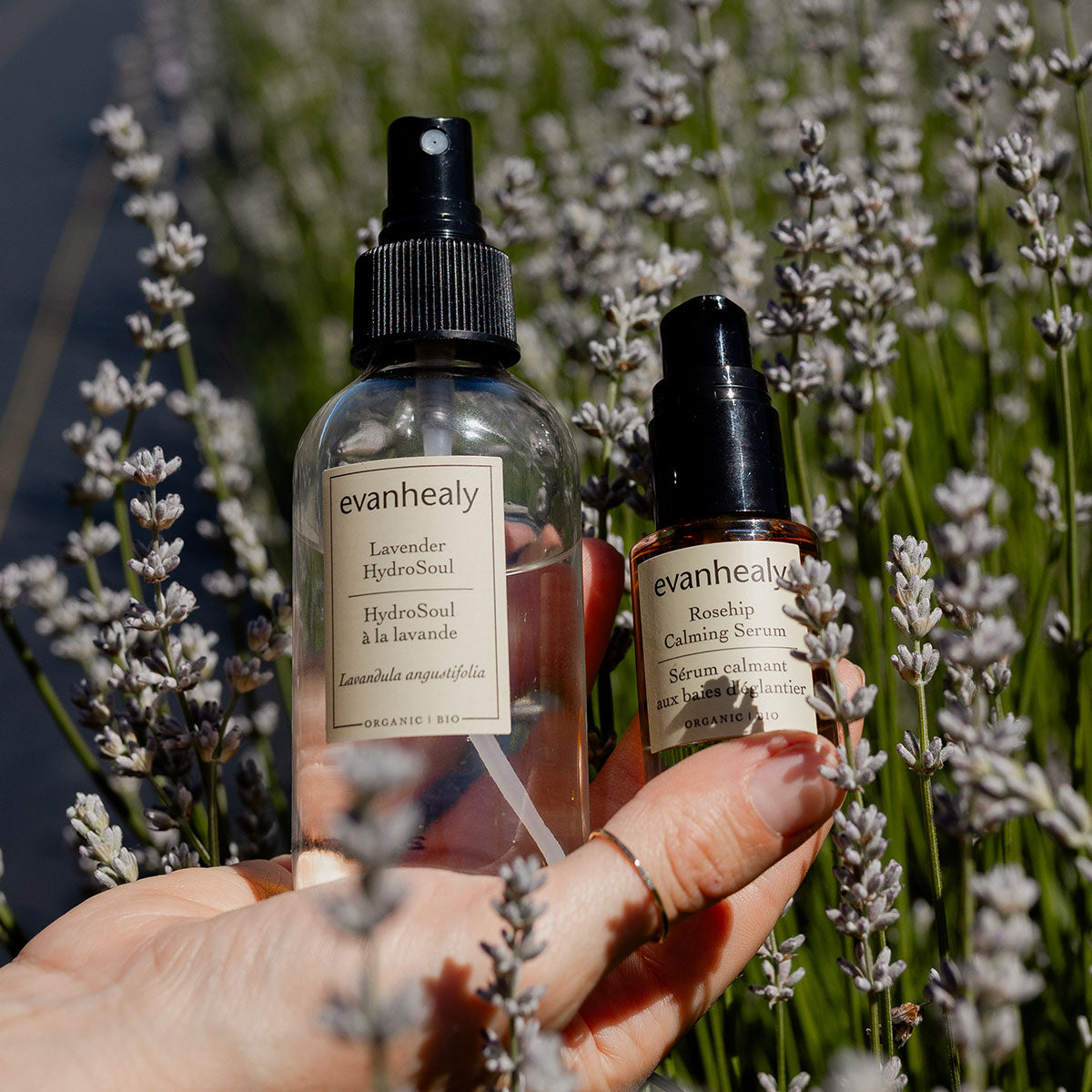 Close-up of evanhealy Lavender HydroSoul and Rosehip Calming Serum bottles held among lavender flowers
