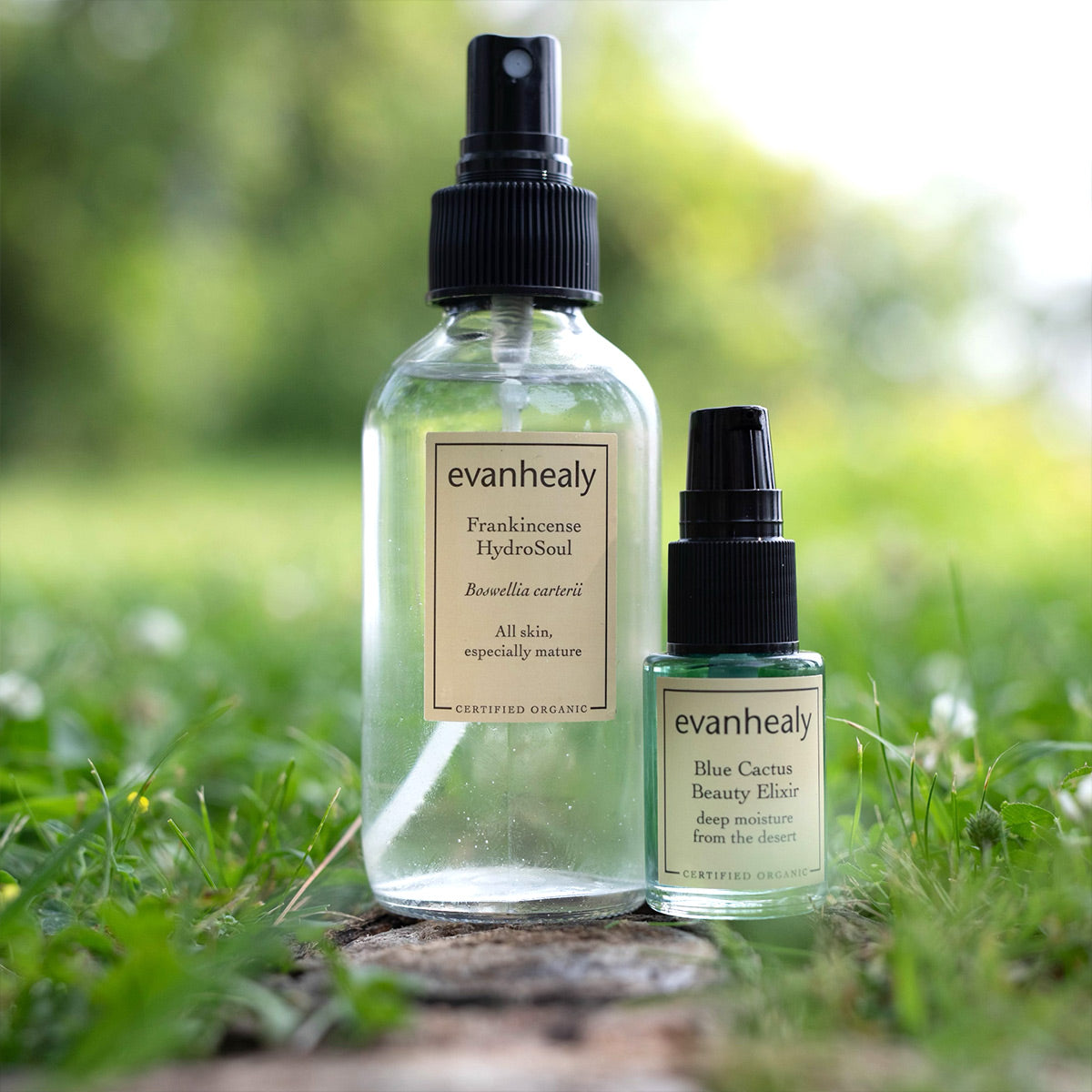 Front view of Mature Duo featuring Frankincense HydroSoul and Blue Cactus Beauty Elixir in a grassy outdoor setting