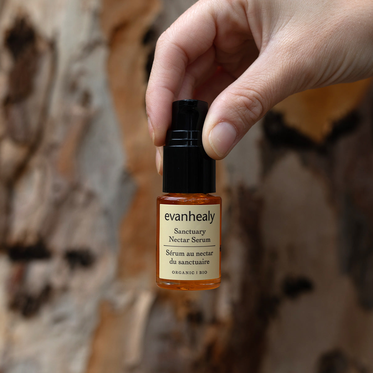 Close-up of Sanctuary Nectar Serum showcasing its amber bottle and black pump with a hand-held wood background
