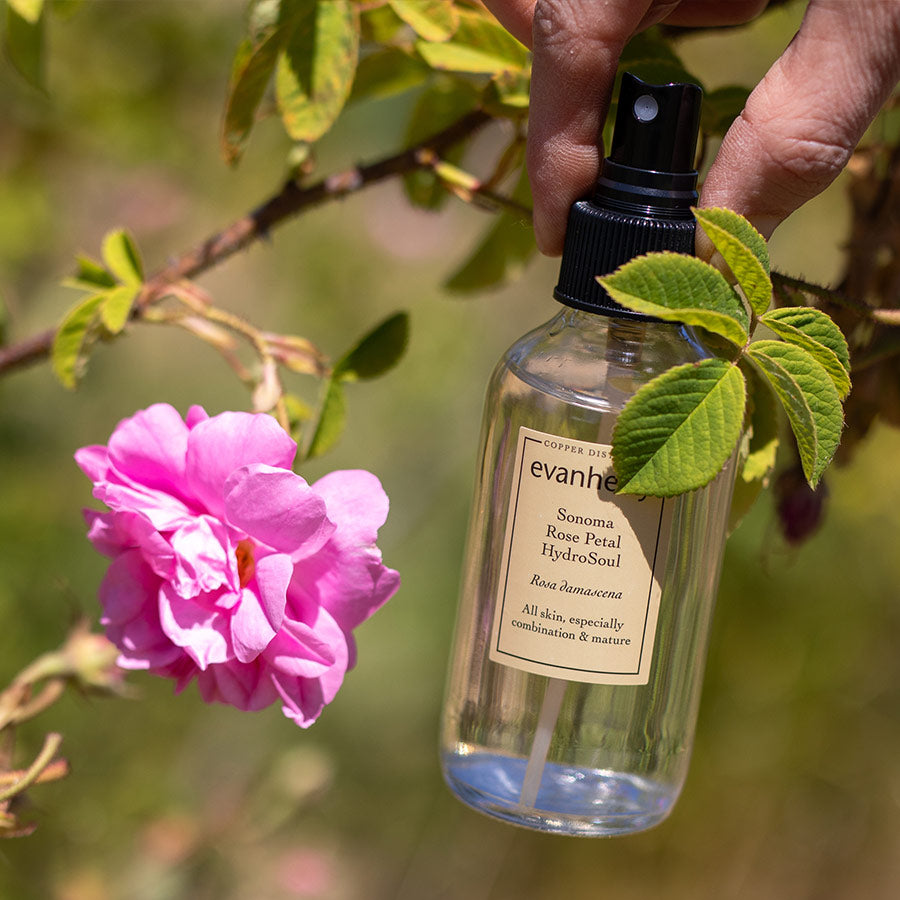 Close-up of Sonoma Rose Petal HydroSoul bottle showcasing rose petal hydrosol beside a blooming pink rose and greenery