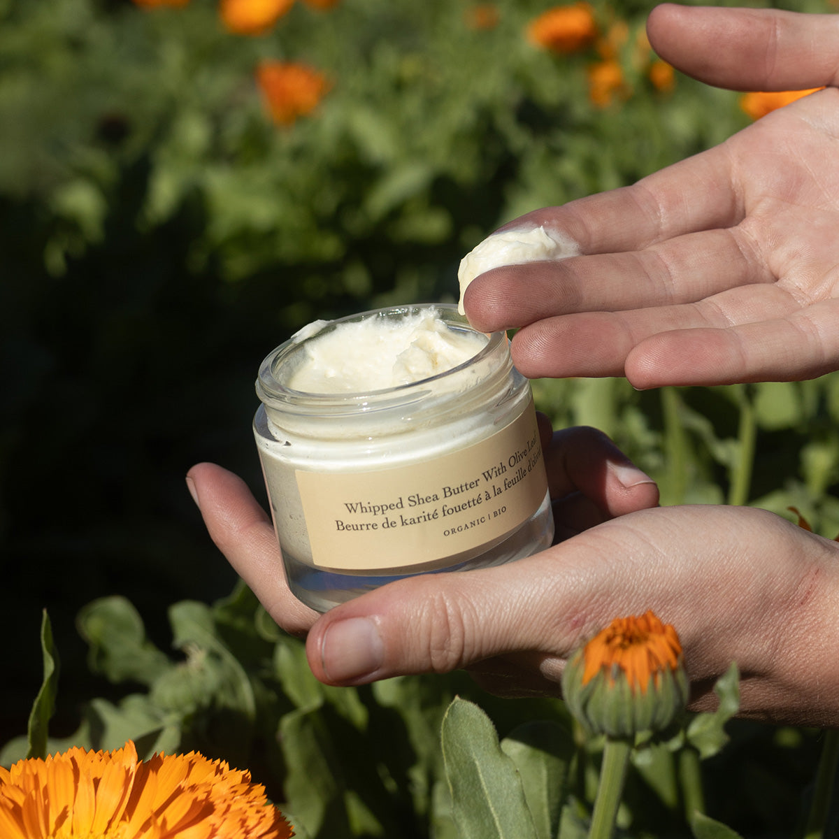 Close up of Whipped Shea Butter with Olive Leaf showing its whipped texture as a hand scoops it in a flower garden